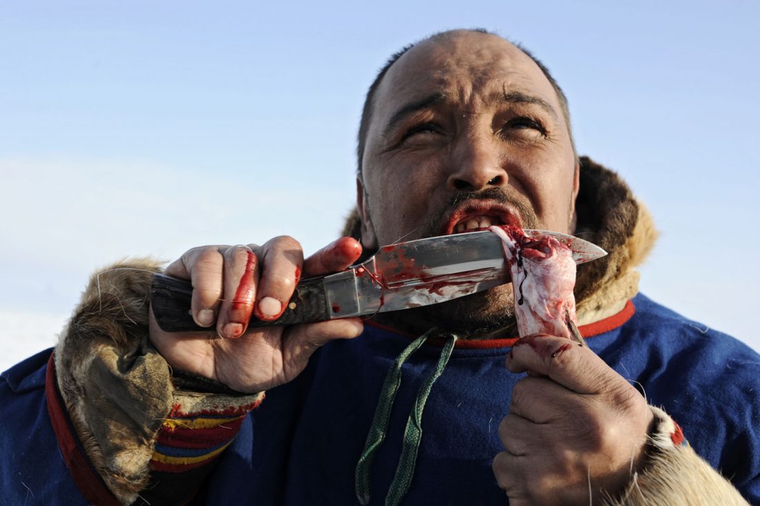 Après l'abattage d'un renne, les morceaux de choix sont mangés crus /// Following the slaughter of a reindeer, the family shares the choice morsels, which are eaten raw