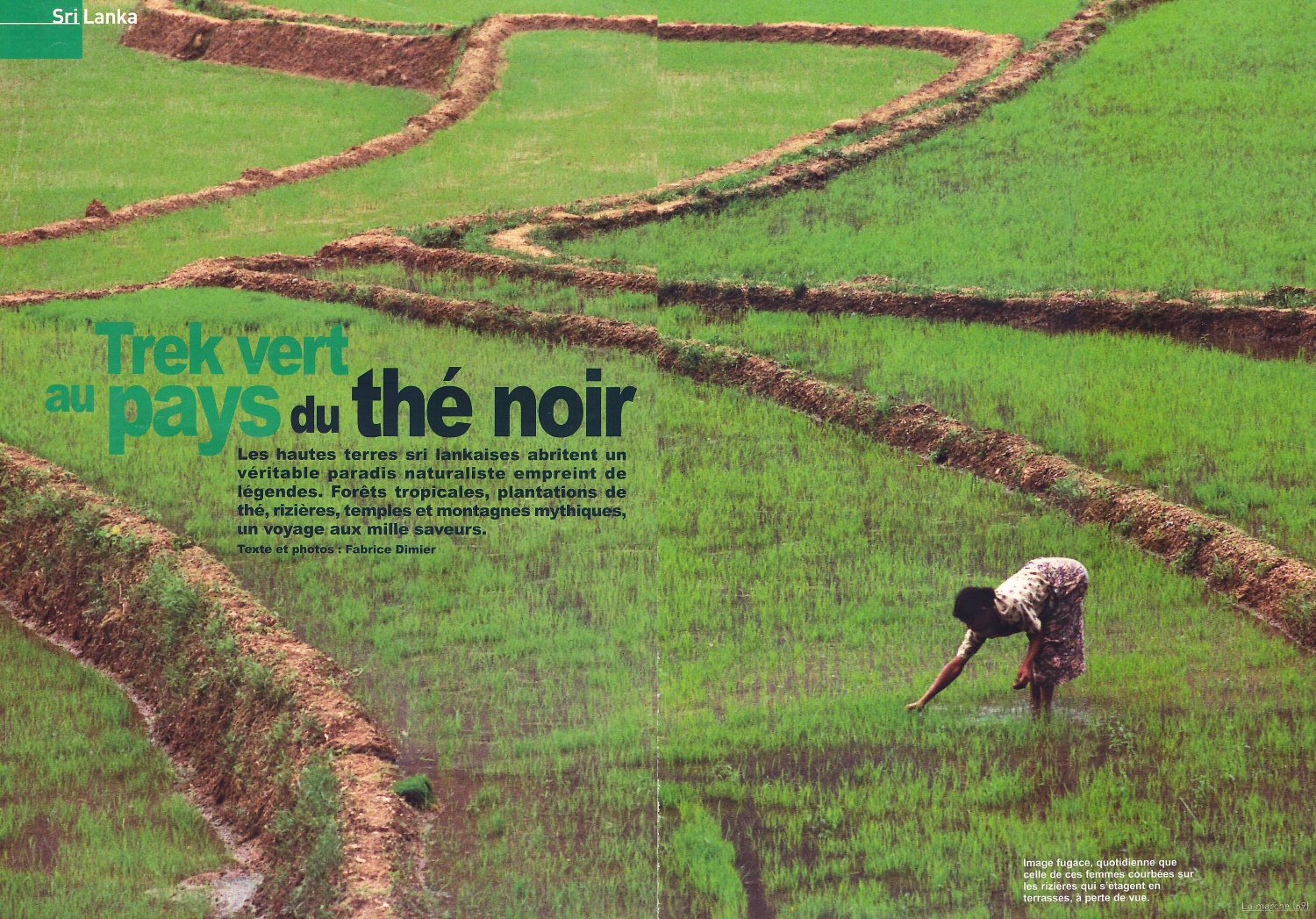 MARCHE_SRI_LANKA_01B